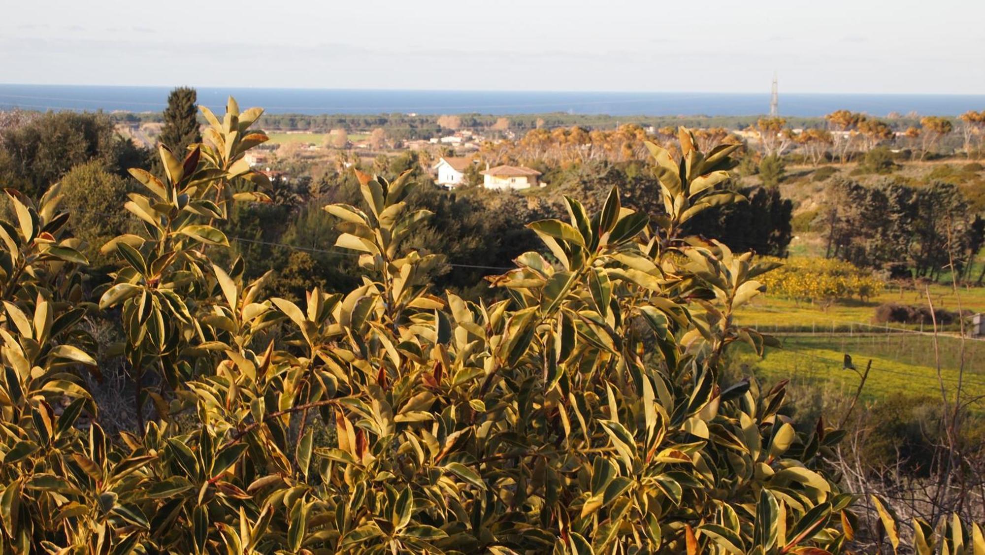 Вілла Asinara Сассарі Екстер'єр фото